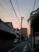 (*&#39;ω&#39;*)......ん??? もう木曜日