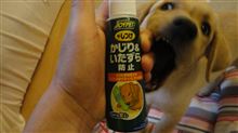 甘くない甘噛み・・・☆