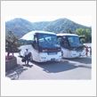 Bus.