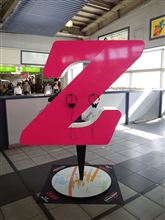 Zピンを見に行ってきたん