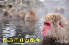 サルも大変だなァ・・・(^-^;)