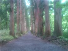 戸隠神社 奥社♪