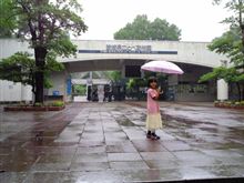 雨の動物園