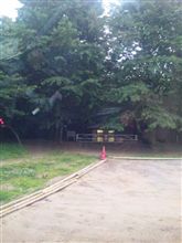 雨に成るのかな？