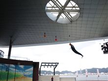 海響館！