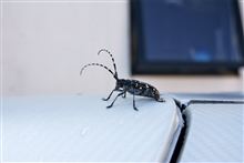 また来たぜ！！