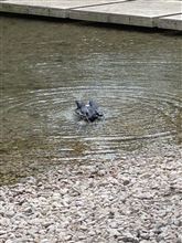 はじめて見ました！