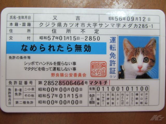 運転免許更新 244 のブログ K Z Square Backyard みんカラ 運転免許更新 244 のブログ K Z Square Backyard みんカラ