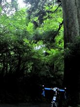 箱根路は