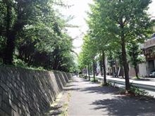 サイドブレーキの引きしろは何ノッチ？