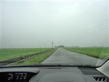 MFDで分かった新事実