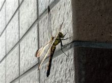 点検、そして.....