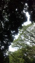 7月16日 癒し系