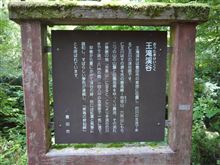 猛暑から逃れるために