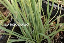 冬の準備 冬の準備