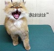 治ンねぇ～なぁ～…
