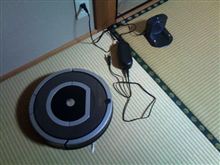 新しいペット？