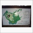 今日もお散歩
