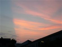 夏だねぇ☆