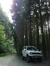 林道