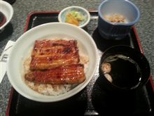 今日はこれですね