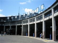 夏休みの思い出づくり♪ 夏休みの思い出づくり♪