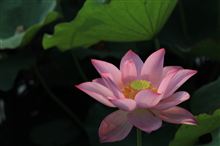 朝から暑い一日でした〜。