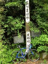 久しぶりの足柄峠