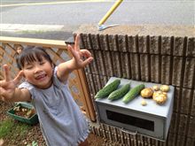 夏の収穫