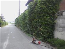 ❤イクなら・・（*&#180;д｀*）ｱﾊｧ・・一緒に・・・・❤（ﾉ∀＼*）ｷｬ