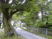 今日の朝走り