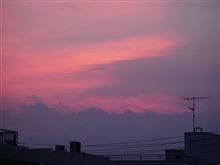 7月29日日曜日の日記 7月29日日曜日の日記