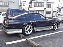 セルが・・・