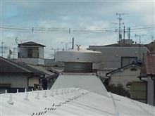 あまりに暑いので　「プチオフの告知もあるよ」