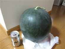 【ドでかスイカ再び】