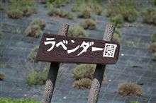 看板