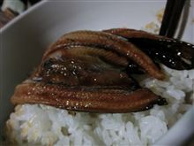 暑気払いにはうな丼デスね♪