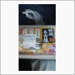 帰ってます
