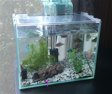 NEW パーツ投入！