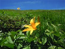 月山な平日(・∀・) ＠８月編