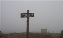 IBK1377
