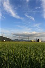 早くも秋の空？