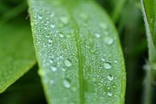 雫