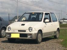 トカゲワークスと名付けたものの・・・