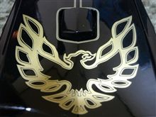 頑張れ「火の鳥NIPPON 」！