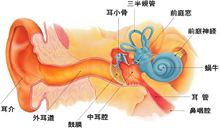 耳掃除