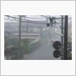 突然の大雨に