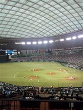 野球観戦（埼玉西武VS北海道日本ハム）