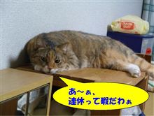 みなさん、ヒマですかぁ？