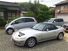 今日のうちの庭の風景…。